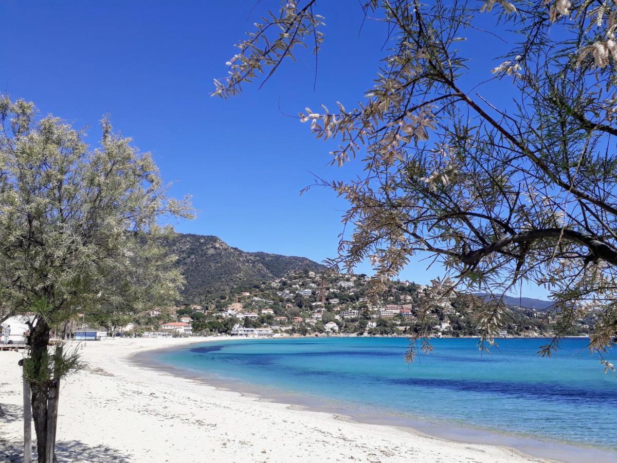 Appartement Duplex - 100M De La Plage De St Clair Le Lavandou Dış mekan fotoğraf